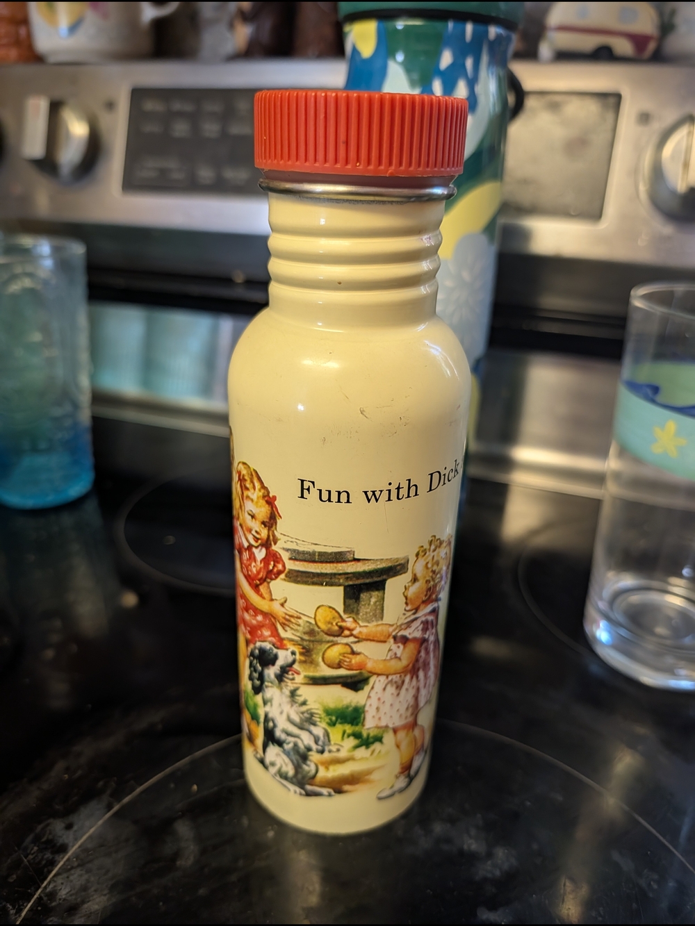 Blue Q Fun With Dick And Jane Retro Water Bottle